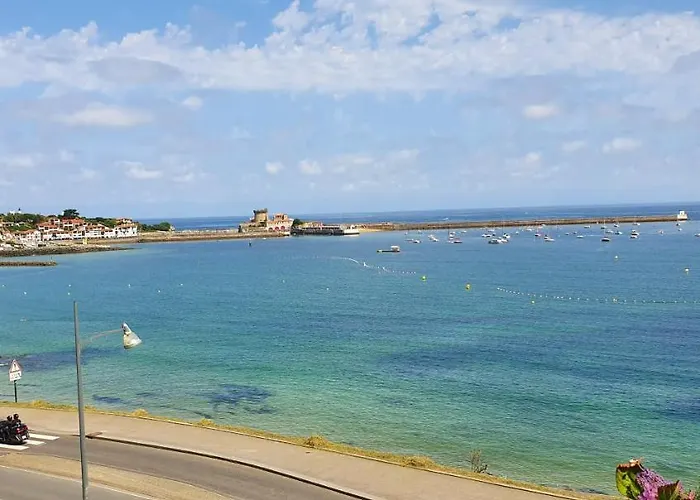 Apartment Goratcho *